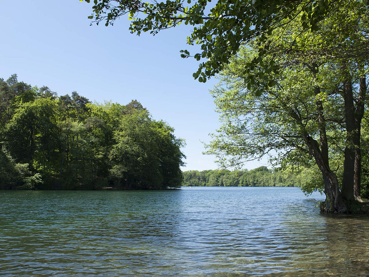 Feldberger Seenlandschaft © Ralph Frank / WWF