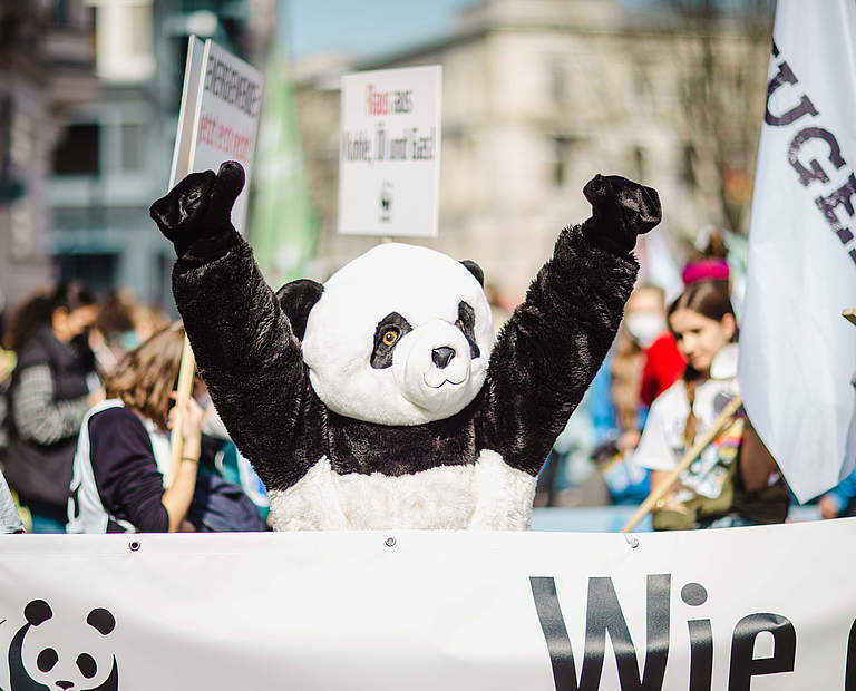 Der WWF-Panda auf dem Klimastreik in Berlin © Markus Winkler / WWF 