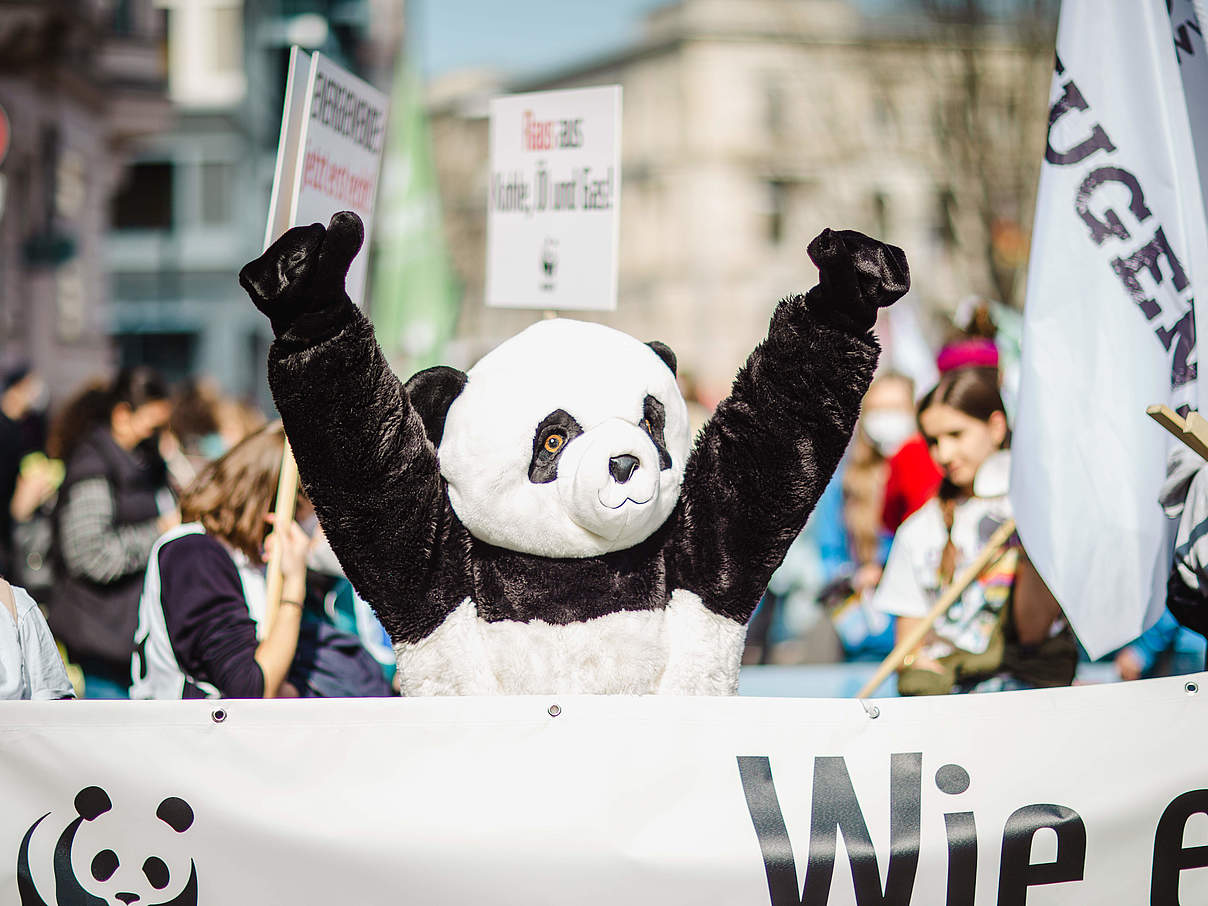 Der WWF-Panda auf dem Klimastreik in Berlin © Markus Winkler / WWF 