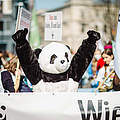 Der WWF-Panda auf dem Klimastreik in Berlin © Markus Winkler / WWF 