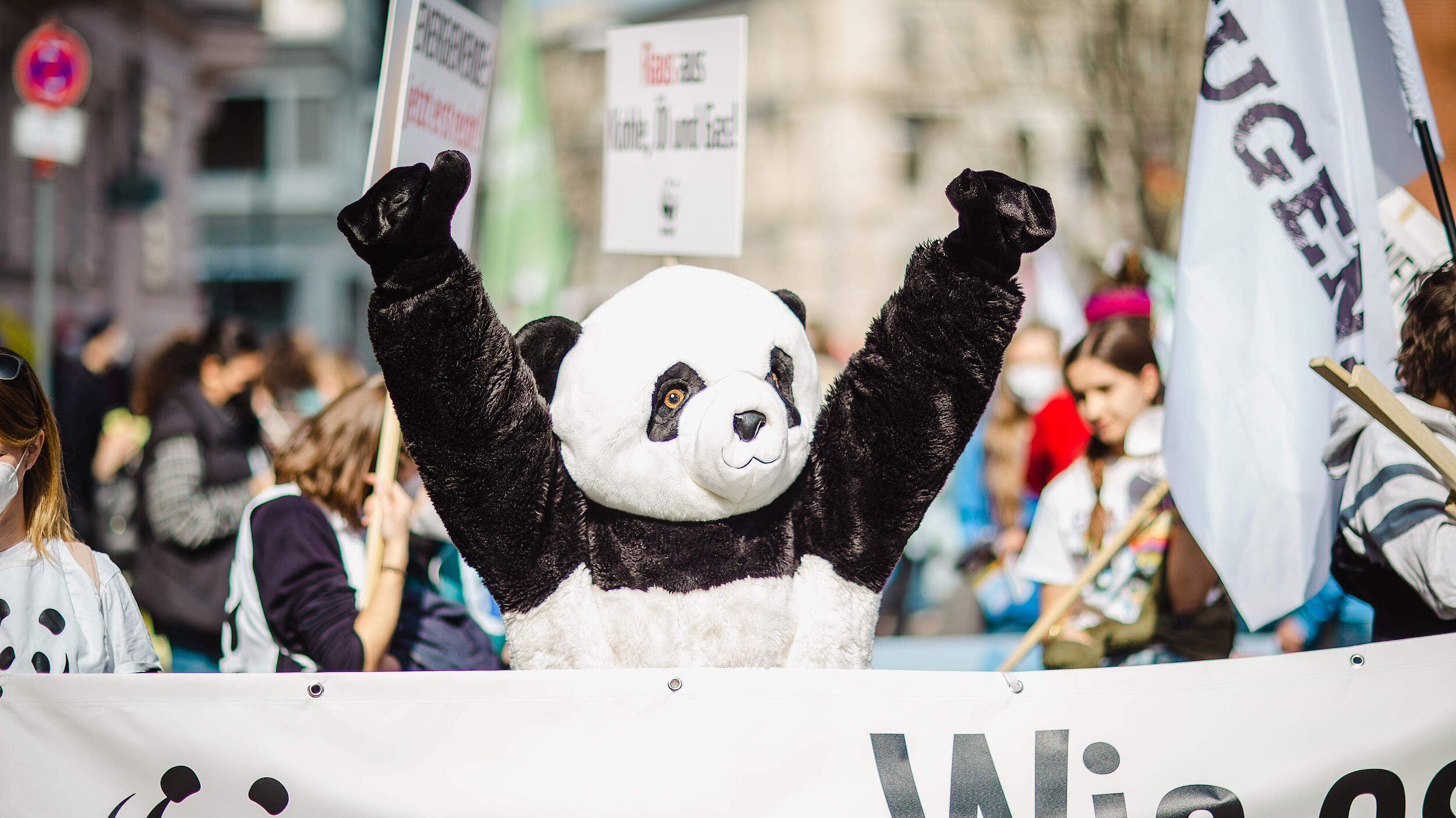 Der WWF-Panda auf dem Klimastreik in Berlin © Markus Winkler / WWF 