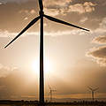 Windkrafträder © Global Warming Images / WWF