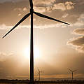 Windkrafträder © Global Warming Images / WWF