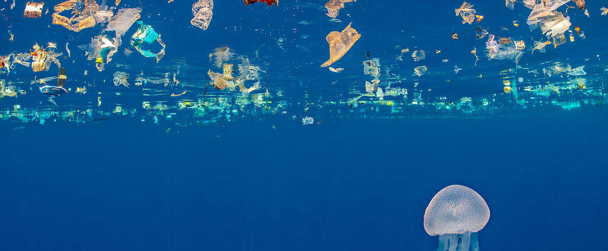 Qualle umgeben von Plastik © naturepl.com / Alex Mustard / WWF