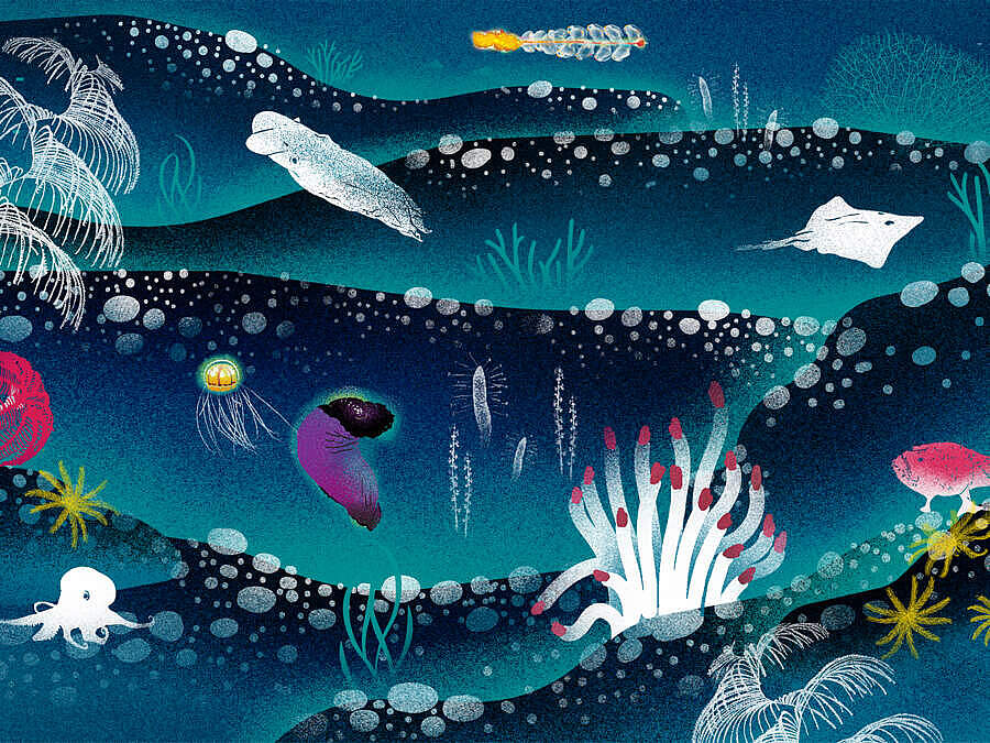 Grafische Darstellung der Artenvielfalt in der Tiefsee © WWF INT