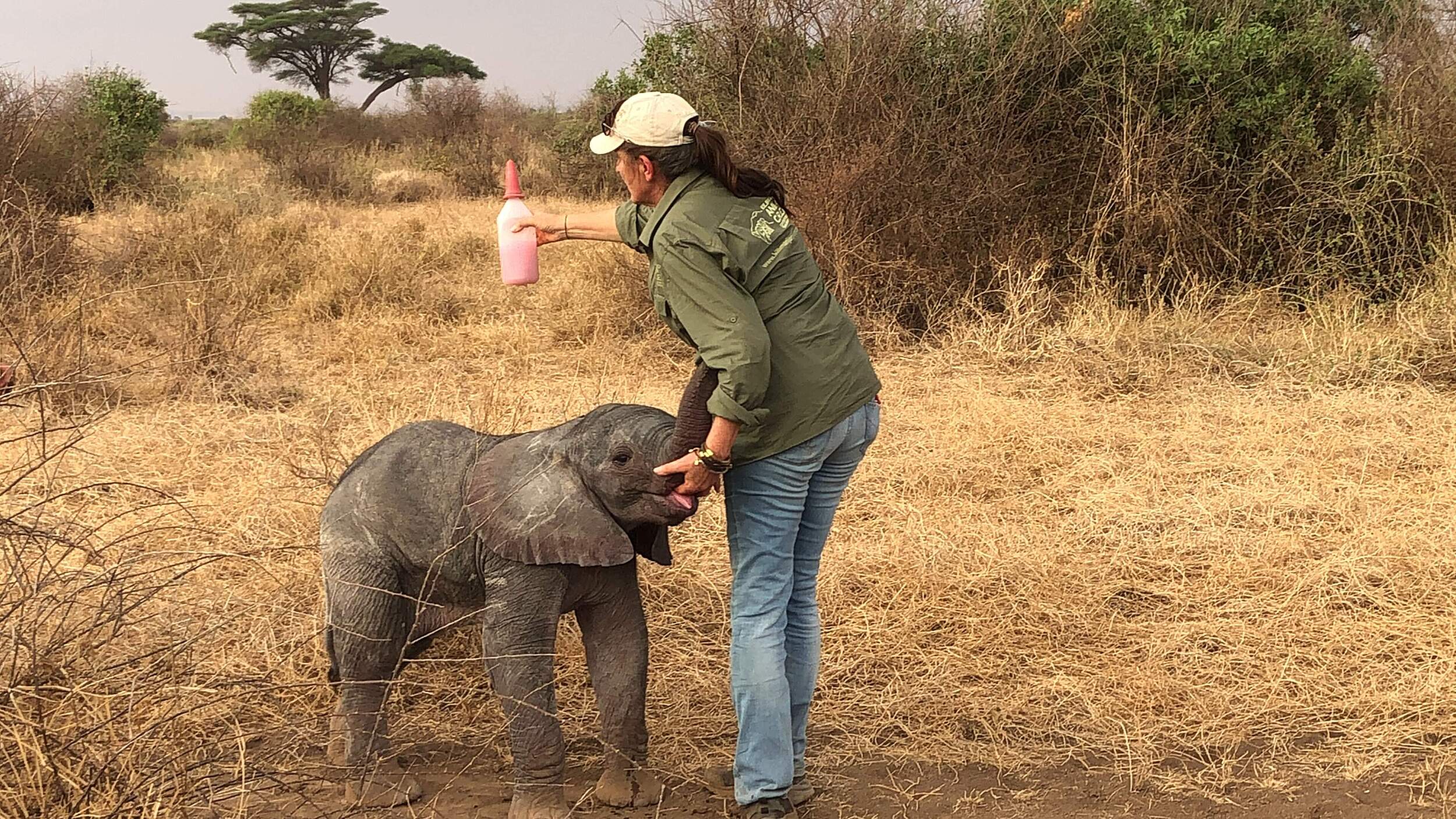 Tierärztin Elisabeth Stegmaier versorgt ein Elefantenkalb.