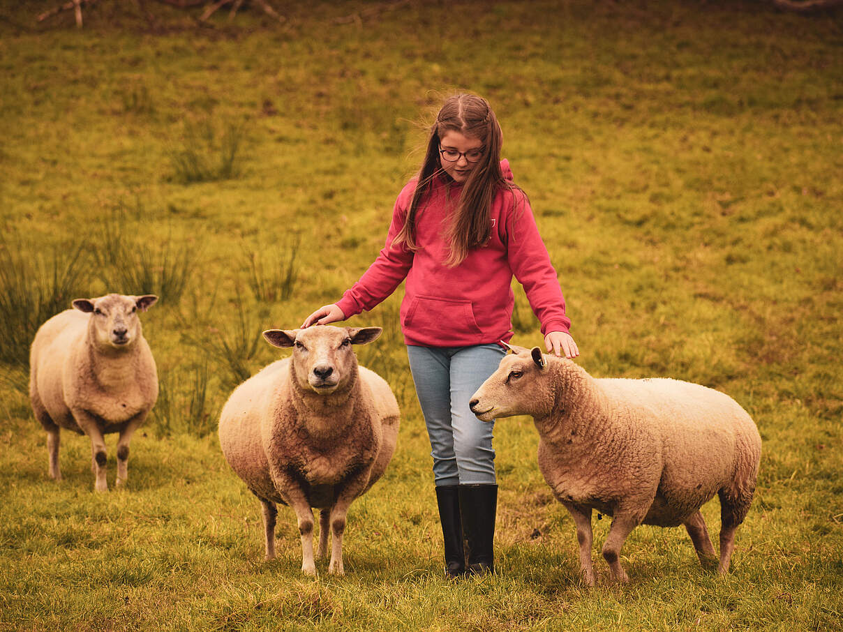 Mädchen mit Schafen 