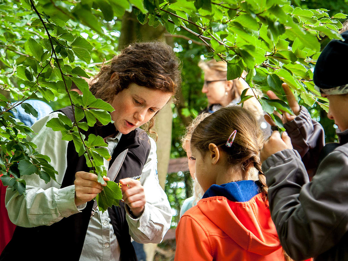 Teilnehmer einer Kinderkurzführung im Nationalparkzentrum Königsstuhl © Nationalpark-Zentrum KÖNIGSSTUHL / WWF