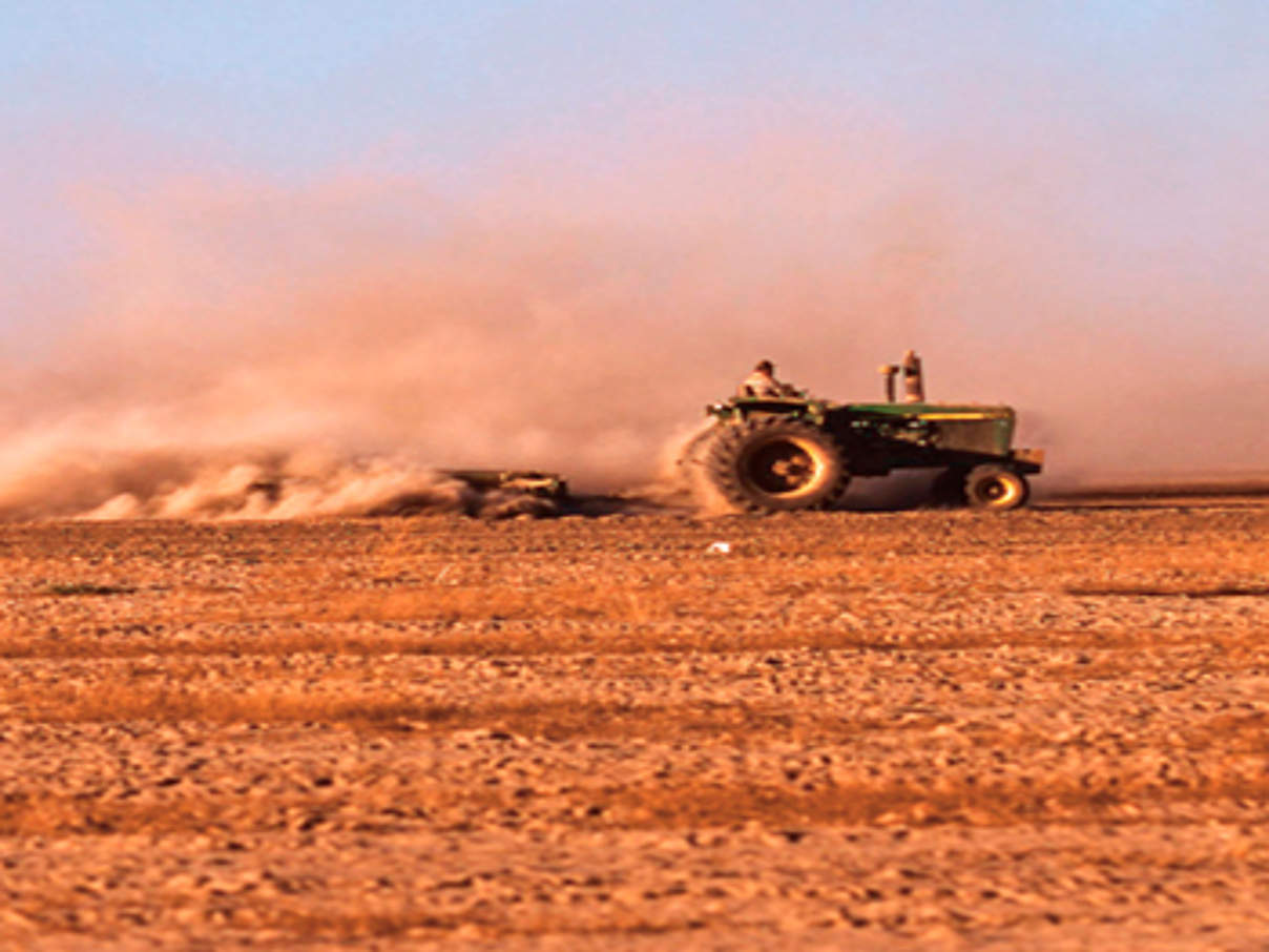 Landwirtschaft © Simon Rawles / WWF