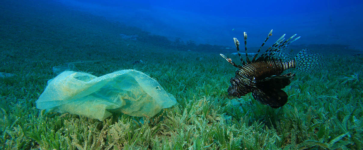 Plastikmüll bedroht die Meere © richcarey iStock Getty Images