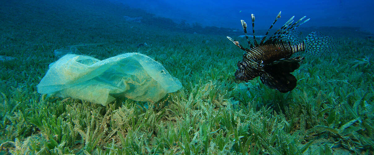Plastikmüll bedroht die Meere © richcarey iStock Getty Images