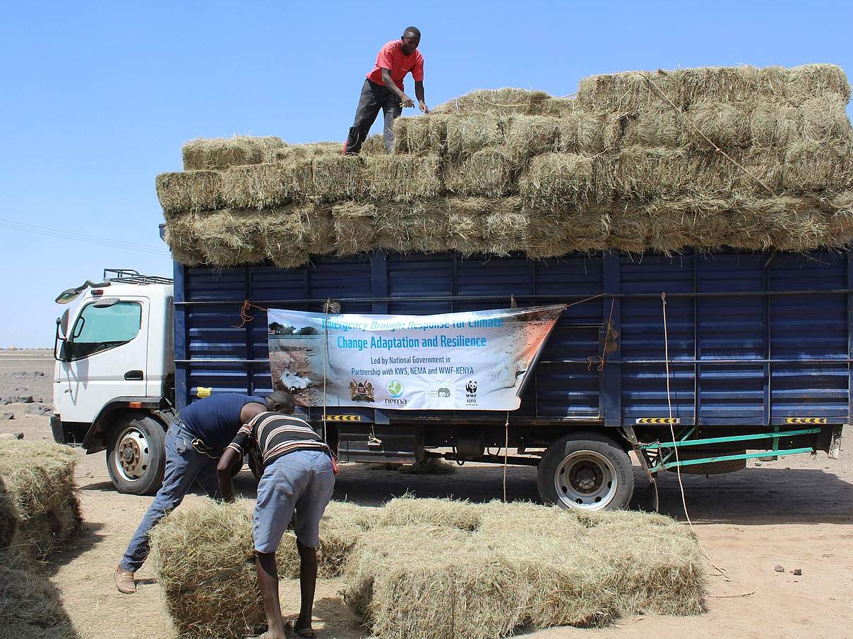 Heutransport © WWF Kenia