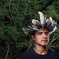 Bitaté Uru Eu Wau Wau © Mboakara Uru Eu Wau Wau / WWF-Brazil