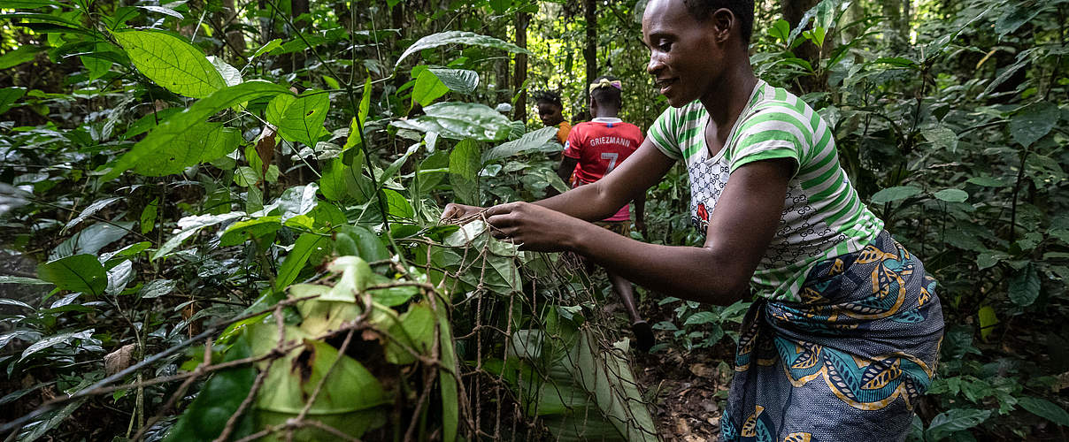 Prisca Bougoe bereitet im Wald eine Falle vor © Andy Isaacson / WWF-US