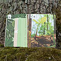 Im Baumentdeckerset enthaltende Karten © Sonja Ritter / WWF