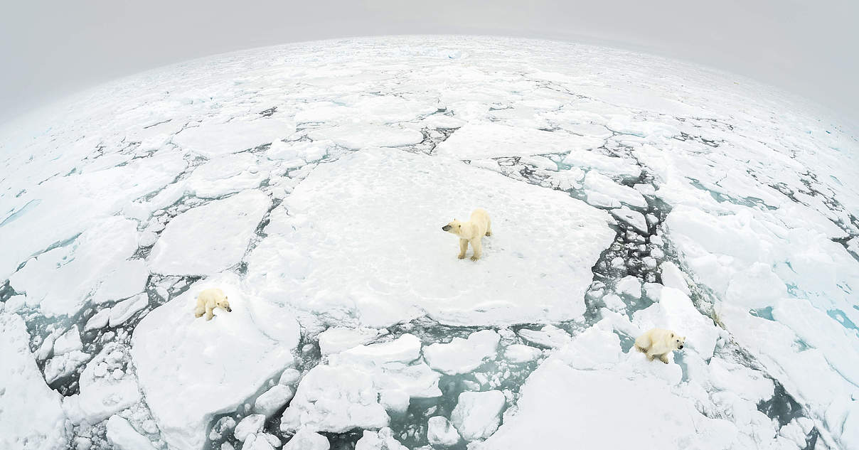 Arktis und Antarktis: Hilfe für Polargebiete