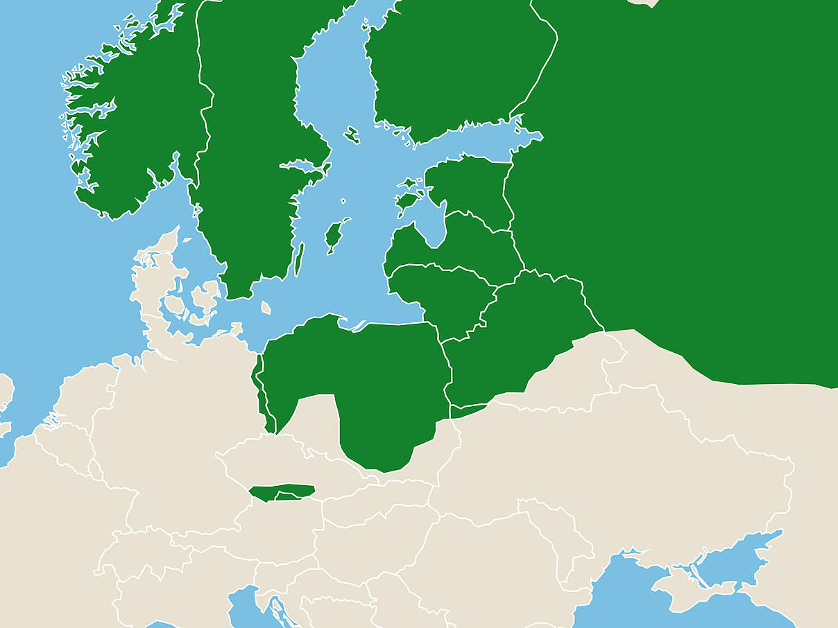 Kartenausschnitt des Verbreitungsgebiets der Elche in Europa © WWF