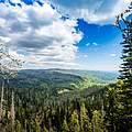 Blick vom Gipfel des Großen Rachel im Nationalpark Bayerischer Wald auf den Bayerischen Wald. @ IMAGO / Thomas Eisenhuth