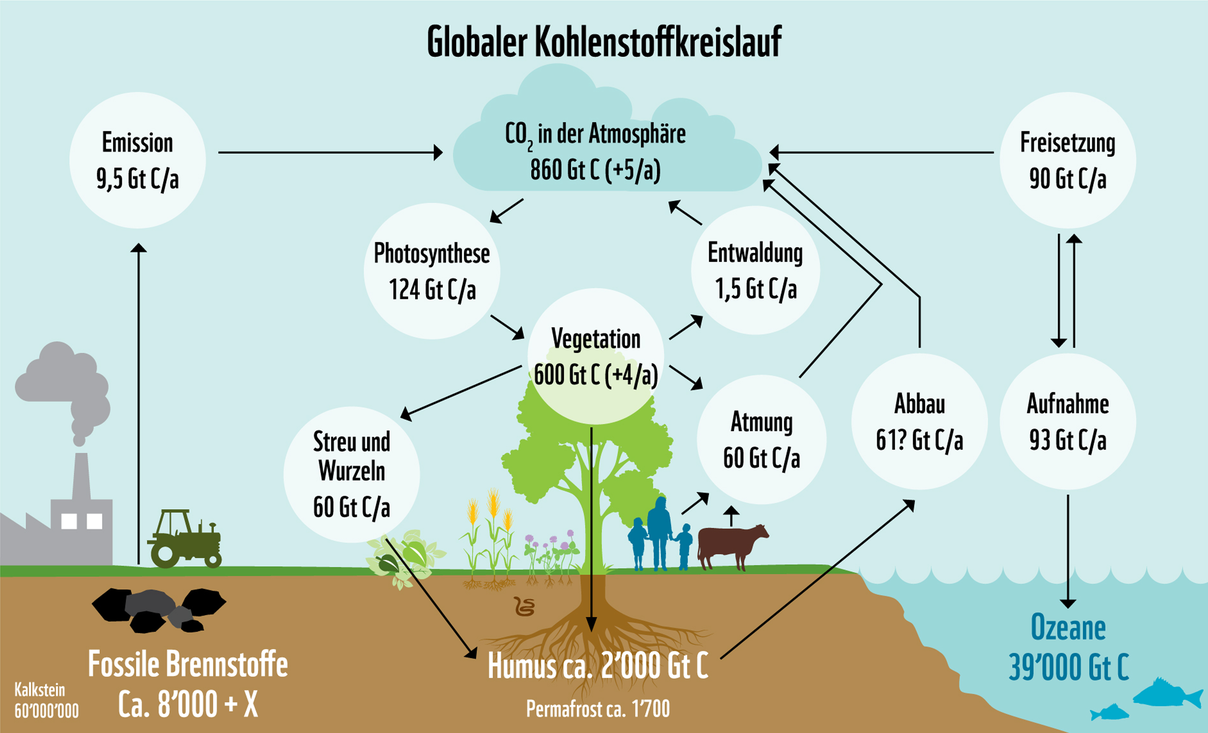 Globaler Kohlenstoffkreislauf © WWF