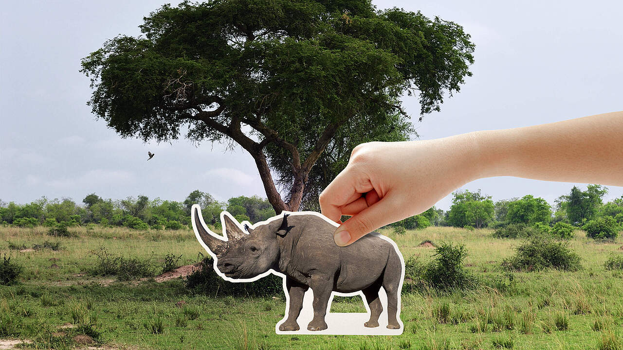 Es liegt in Ihrer Hand, die Nashörner zurückzubringen 