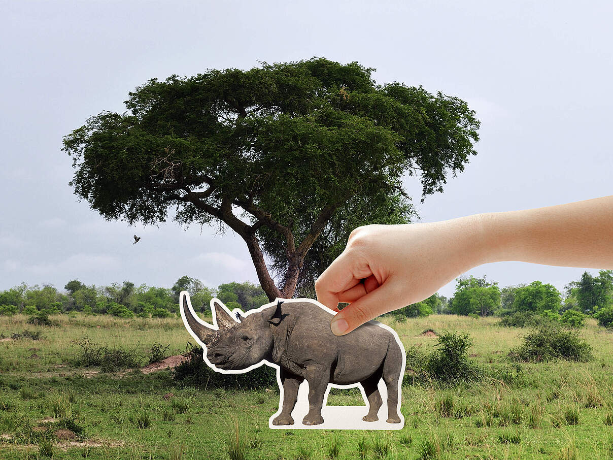 Es liegt in Ihrer Hand, die Nashörner zurückzubringen 
