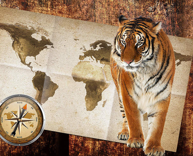 Paten Header Tiger © WWF