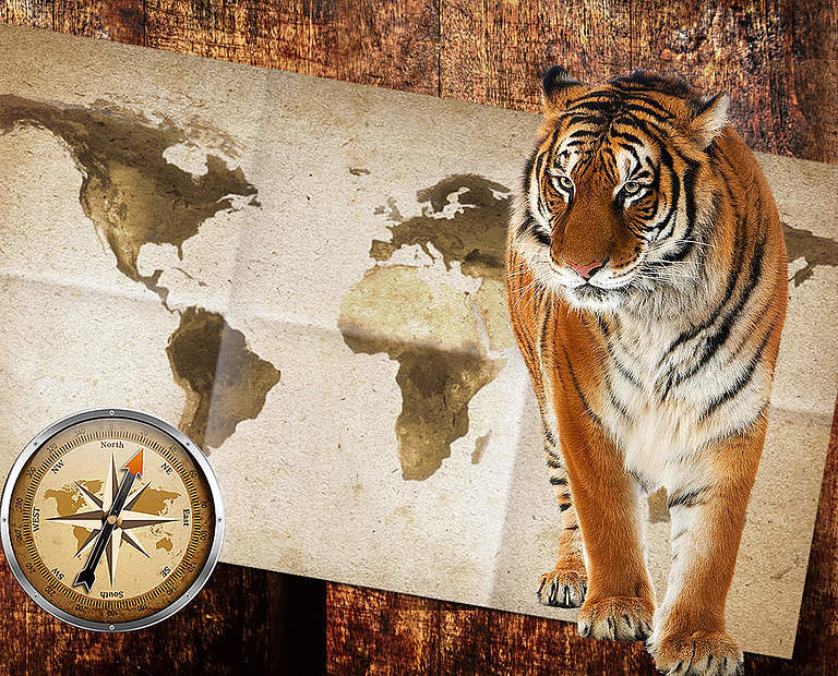 Paten Header Tiger © WWF