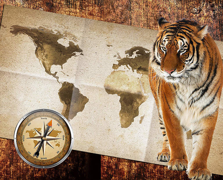 Paten Header Tiger © WWF