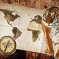 Paten Header Tiger © WWF
