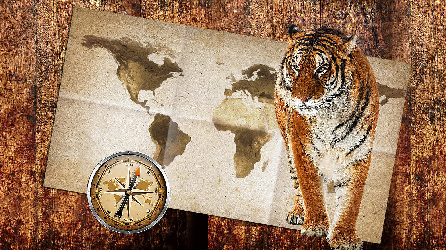 Paten Header Tiger © WWF