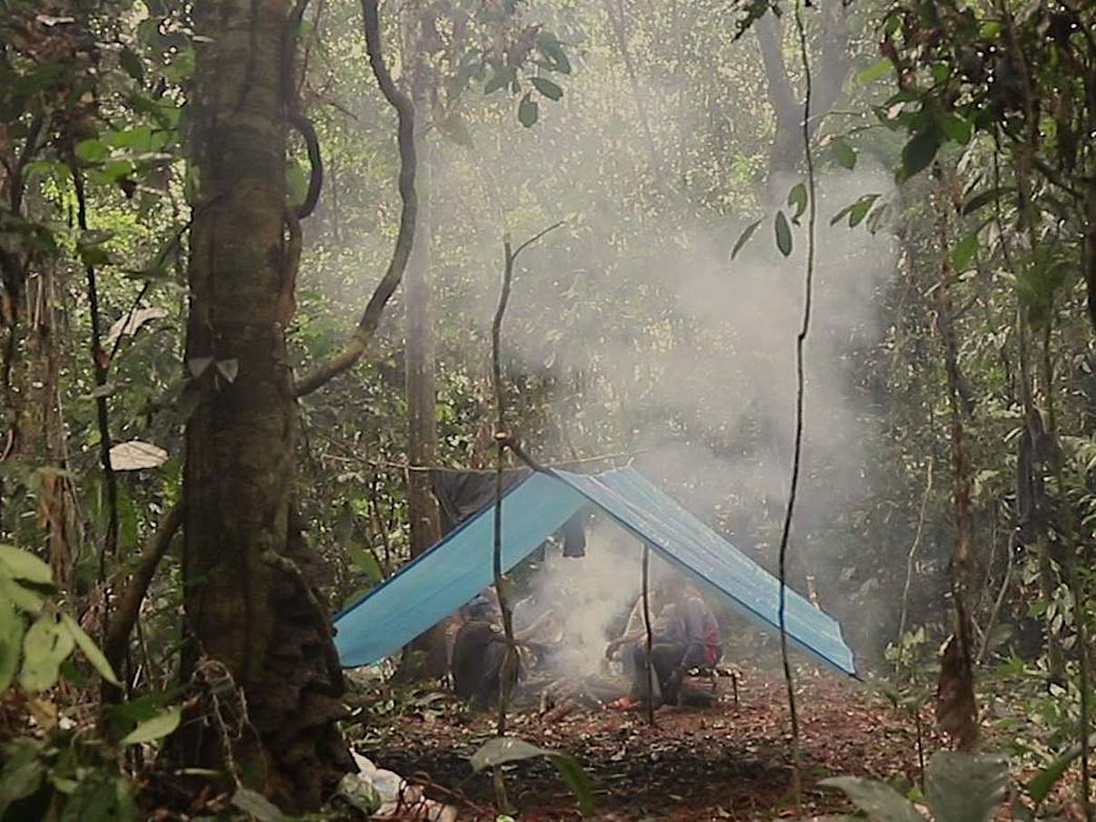 Camp im Wald © Thomas Nicolon 