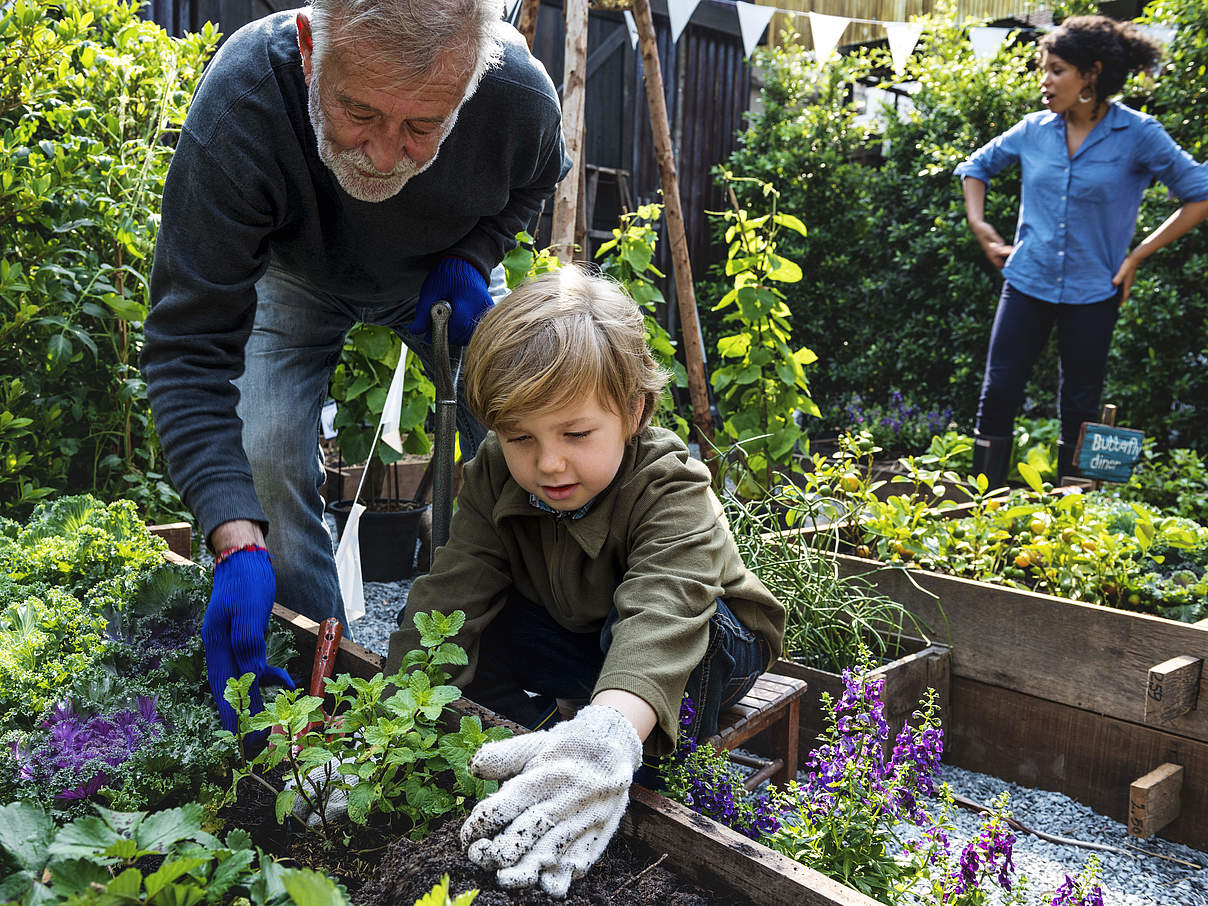 Gemüse und Kräuter im eigenen Garten © GettyImages