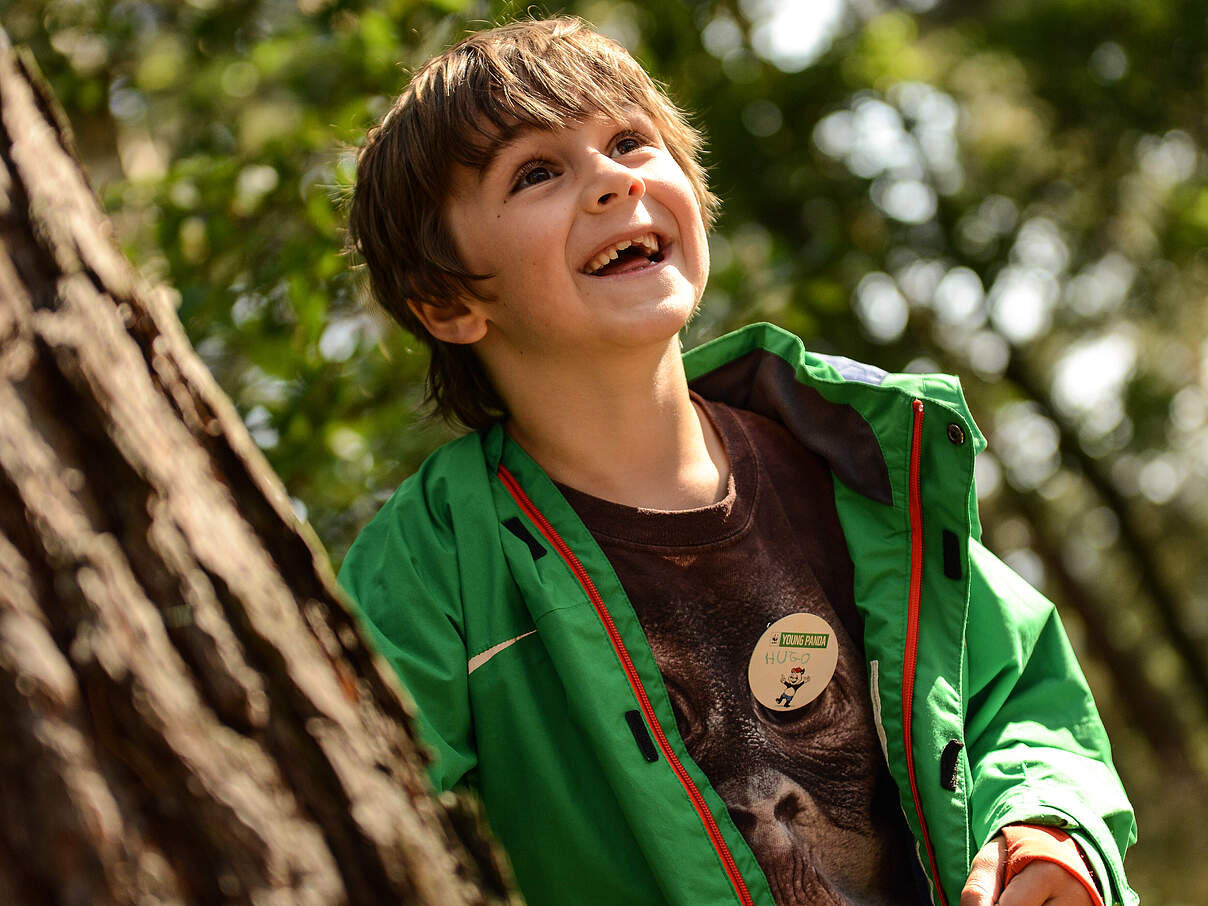 Kind schaut hinter einem Baum hervor 