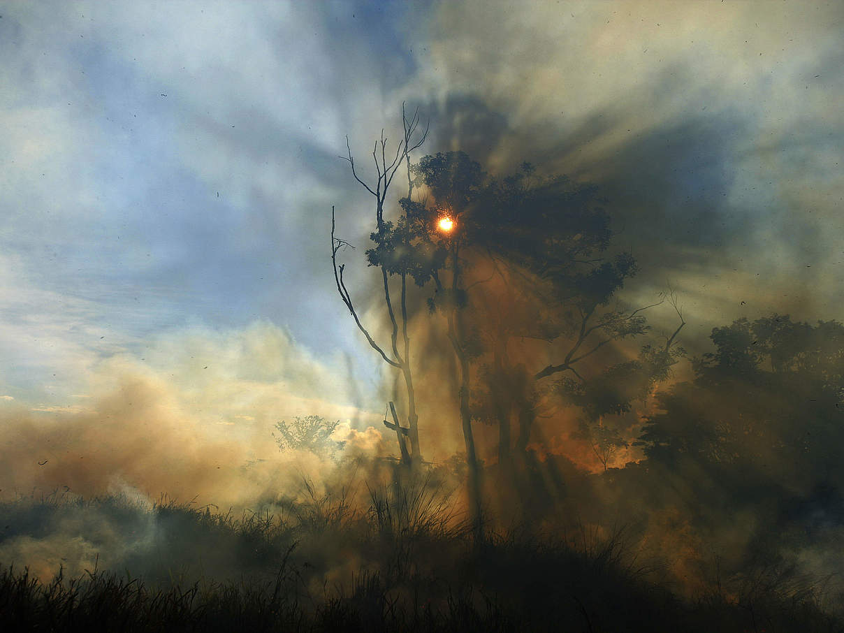 Rauch im Amazonas/Brsilien © Brent Stirton / Getty Images / WWF
