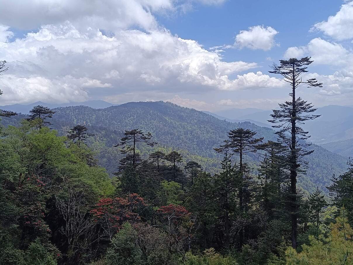 Wassersicherheit ist eine Naturschutzaufgabe © Michael Zika / WWF