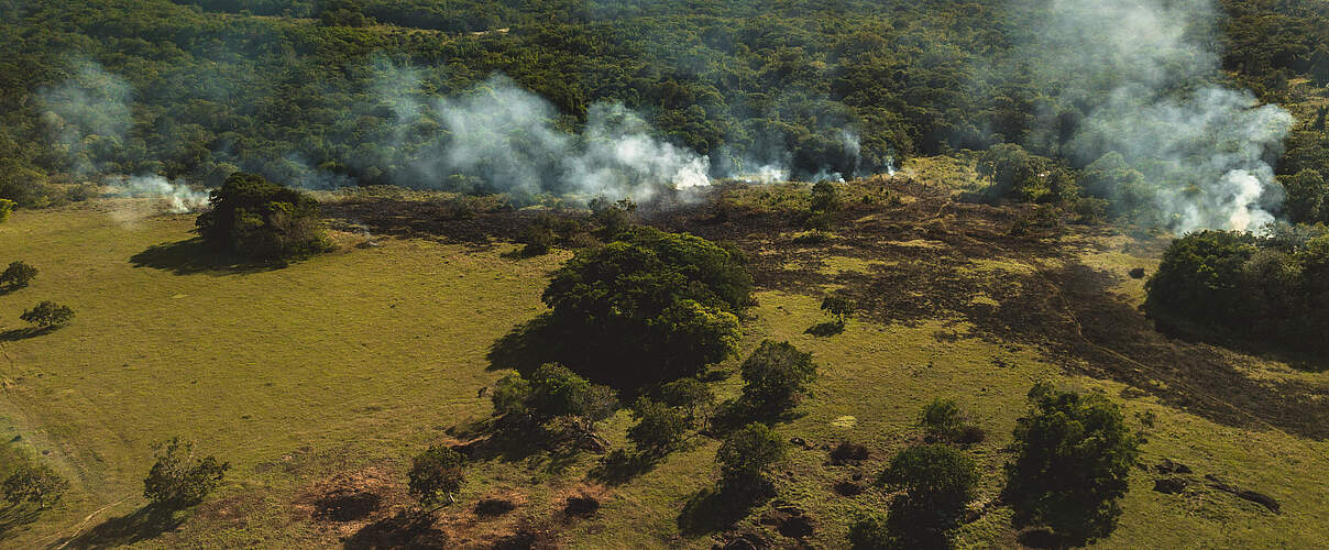 Weideflächengewinnung in Kolumbien © Luis Barreto WWF-UK