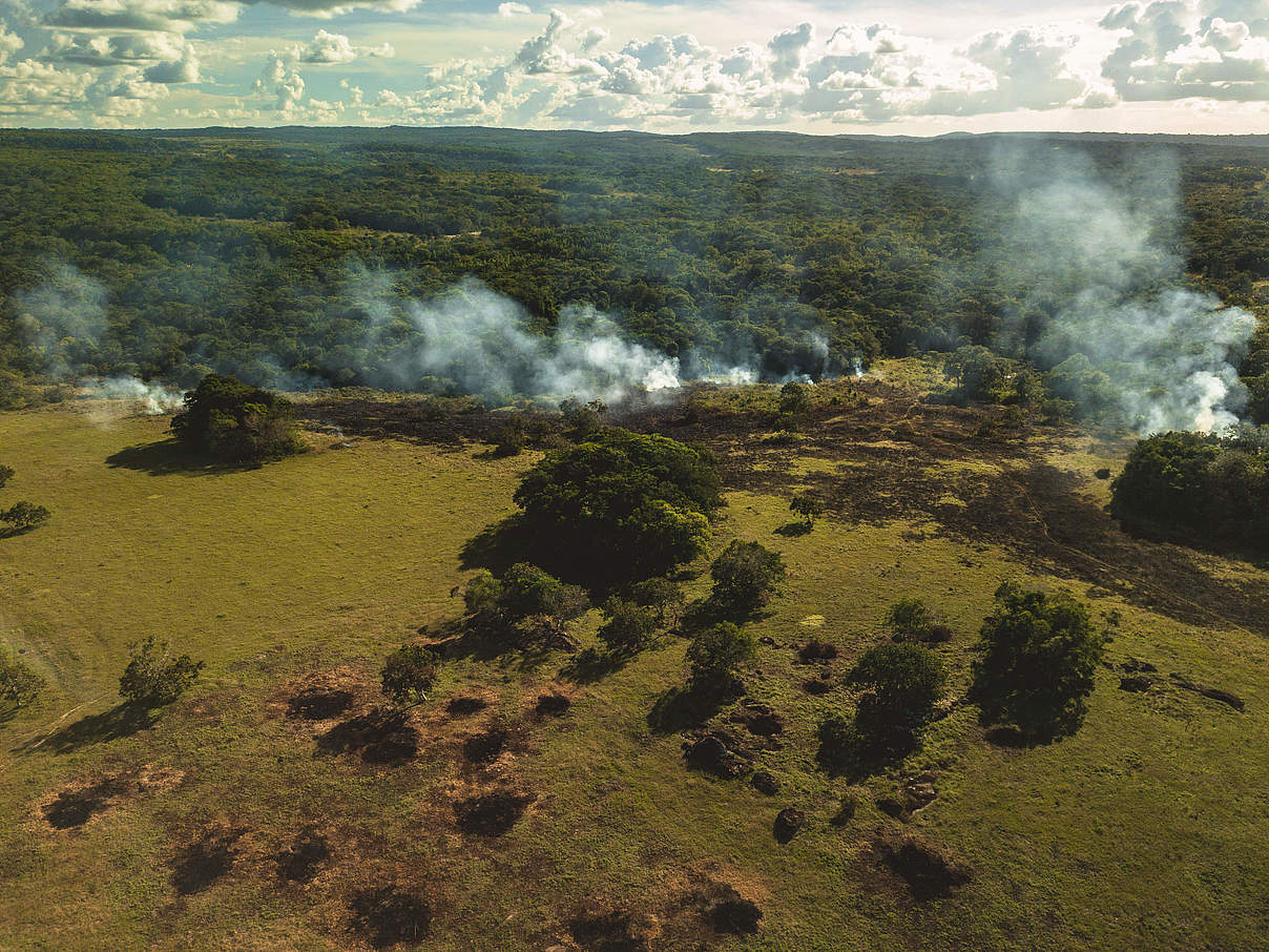 Weideflächengewinnung in Kolumbien © Luis Barreto WWF-UK