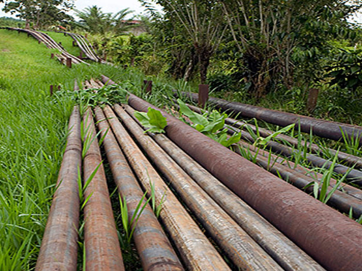 Pipeline im Amazonasgebiet (Symbolbild) © iStock / Getty Images