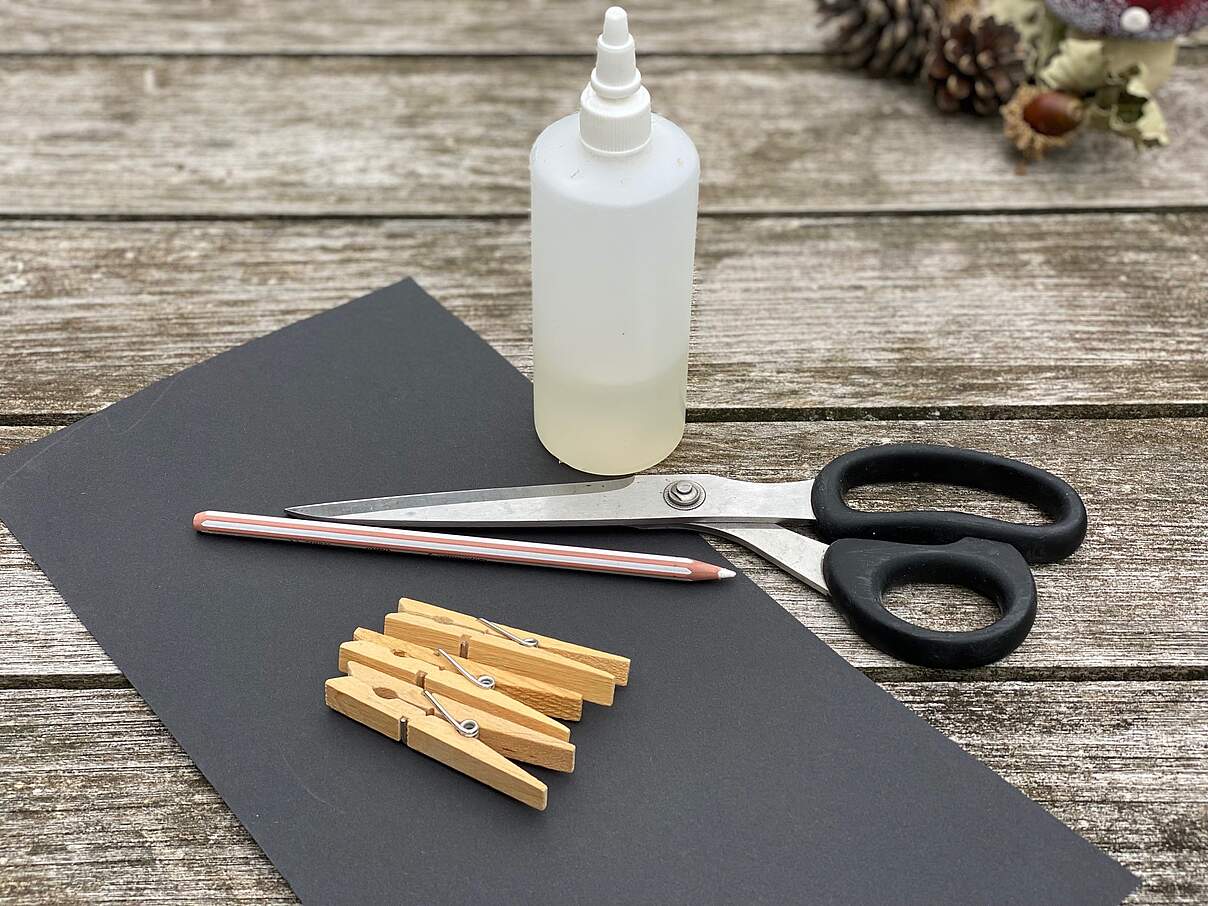 Das brauchst du, um Fledermäuse zu basteln