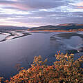 Fluss Gore, Amur-Region © Hartmut Jungius WWF