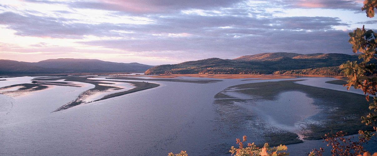 Fluss Gore, Amur-Region © Hartmut Jungius WWF