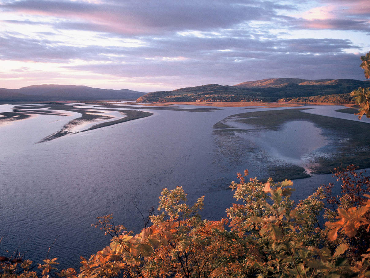 Fluss Gore, Amur-Region © Hartmut Jungius WWF