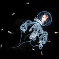 Fast ätherisch in seiner Durchsichtigkeit ist ein junger Wunderpus-Oktopus von einer Vielzahl kleiner Zooplanktonarten wie Garnelenlarven, Krabben und Würmern umgeben.