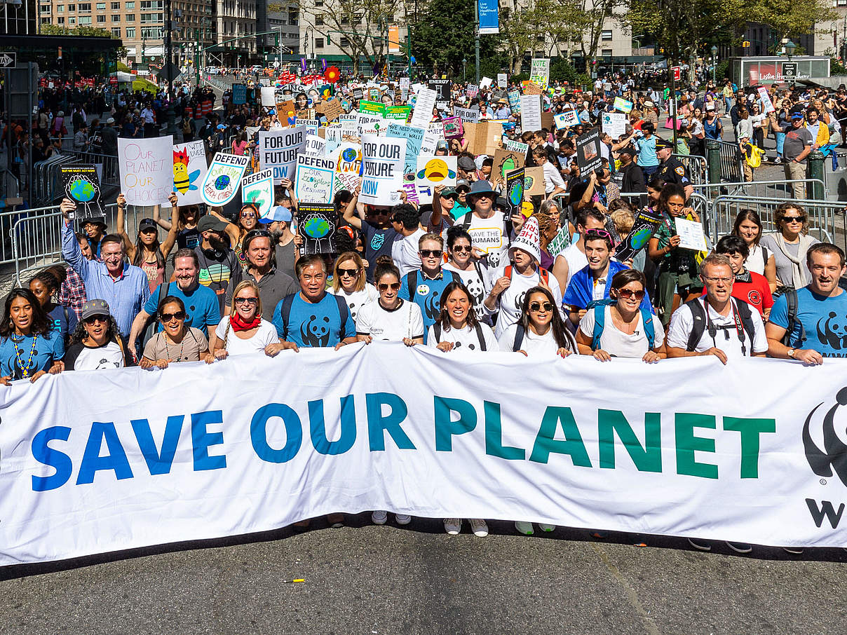 Klimademonstration in New York © Keith Arnold / WWF USA