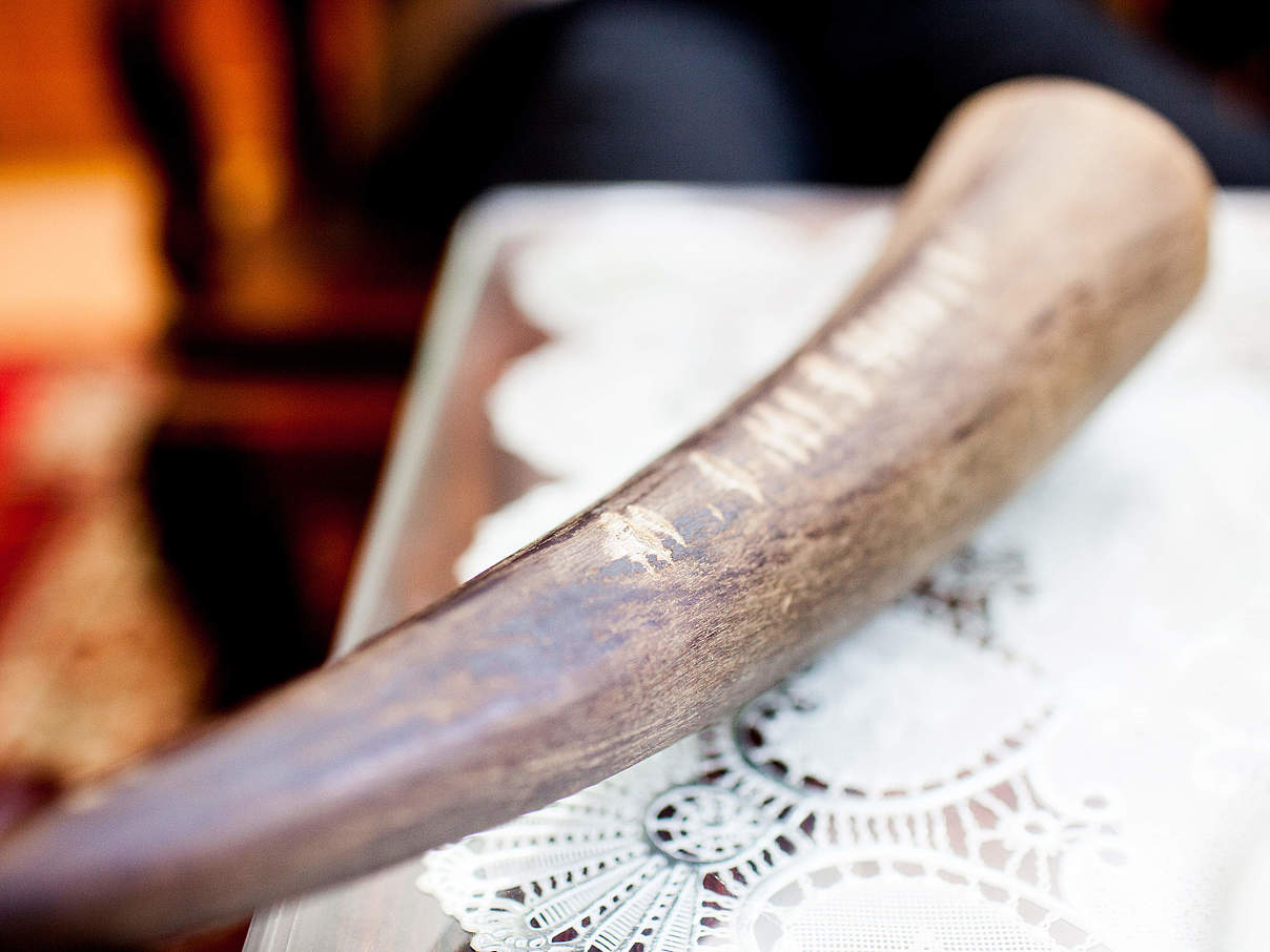 Nashorn-Horn zum Verkauf in Vietnam © Robert Patterson / WWF