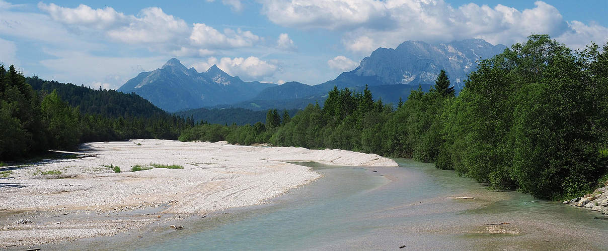 Obere Isar © Sigrun Lange / WWF