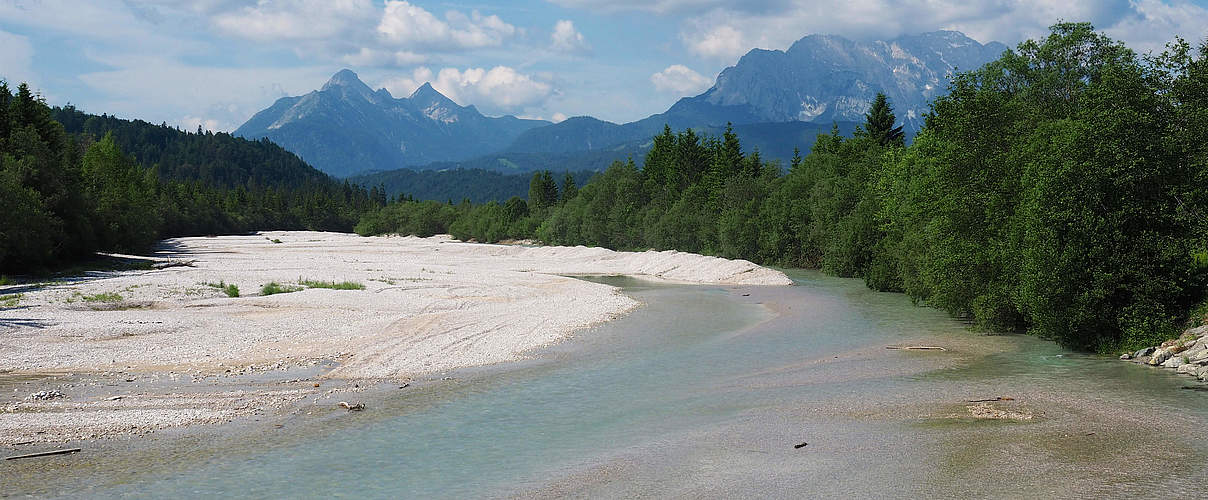 Obere Isar © Sigrun Lange / WWF