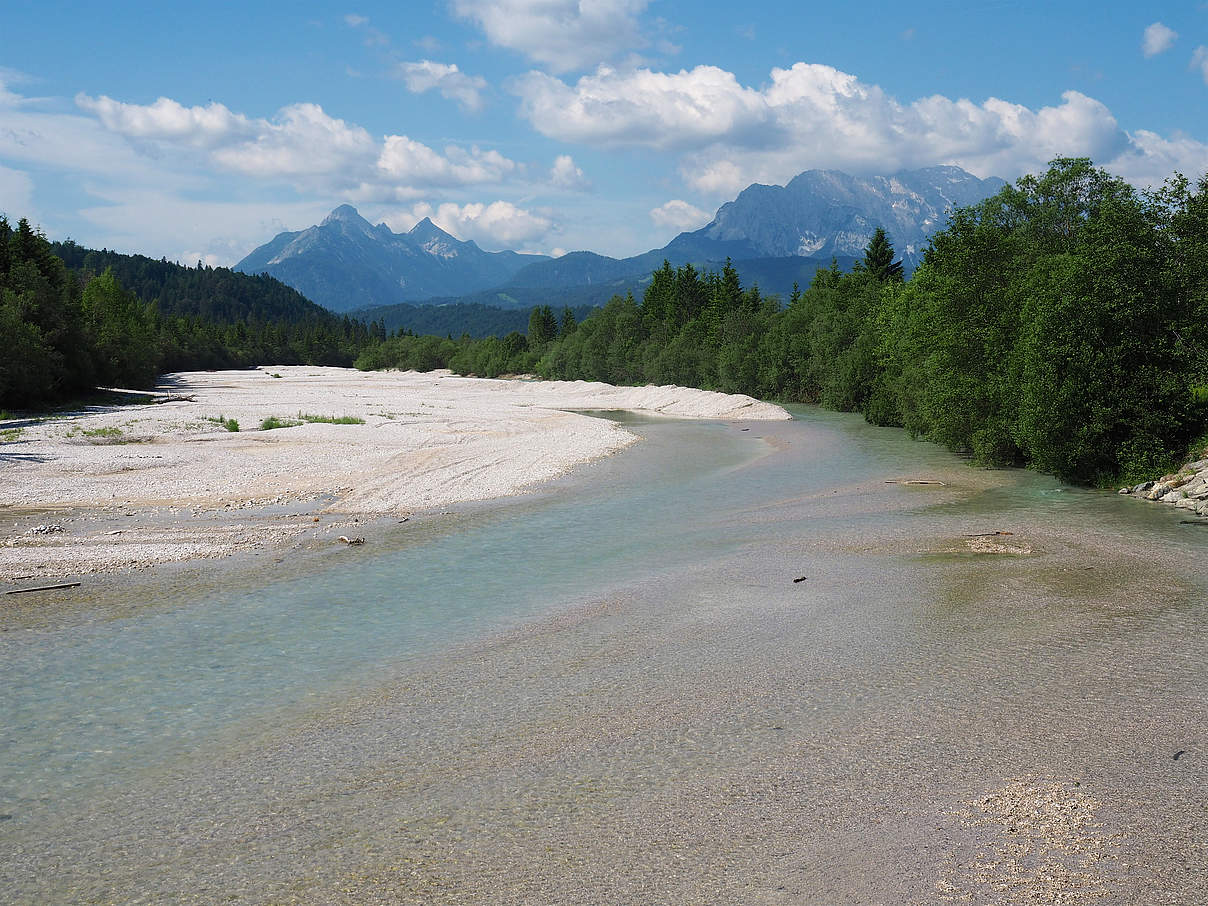 Obere Isar © Sigrun Lange / WWF
