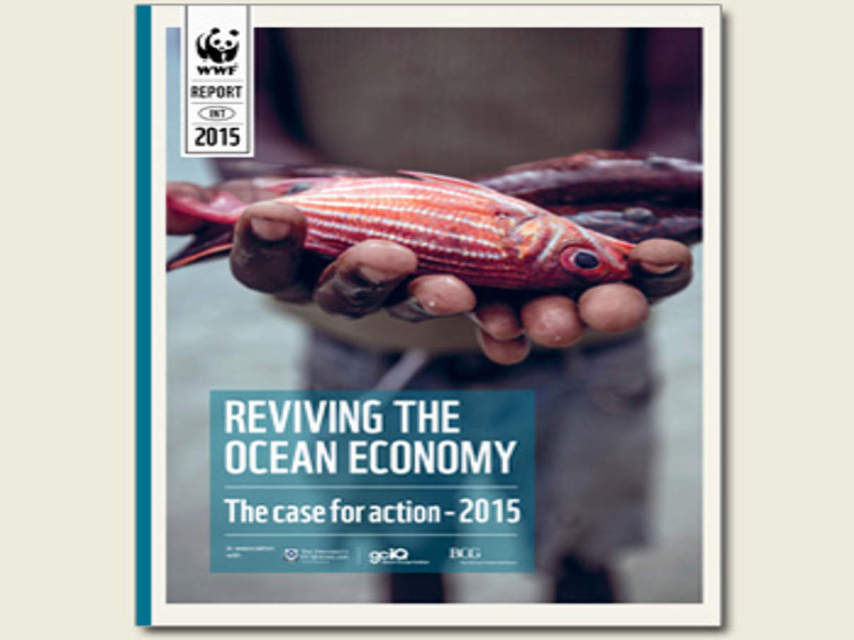 WWF-Report beziffert Wert der Ozeane © WWF