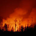 Waldbrände in Indonesien © WWF Indonesien